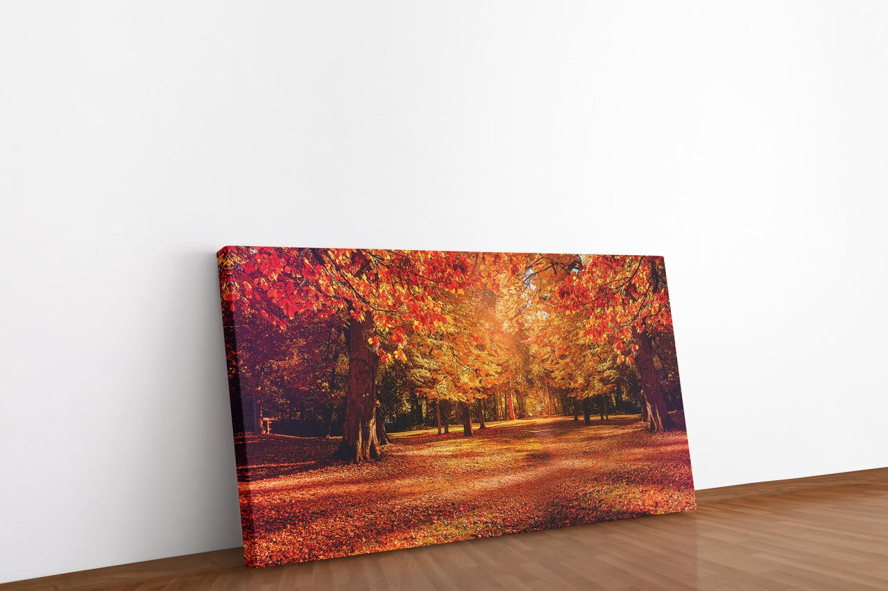 shutterstock_1466209616r4tKyCuJkM0zv_1280x1280.jpg