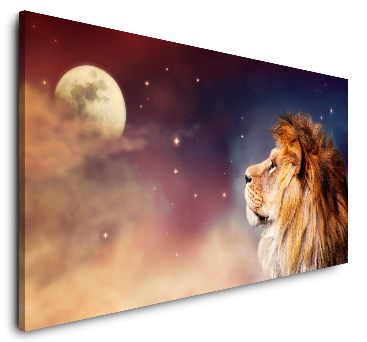 shutterstock_1483113782dTVSChtevZ6ad_1280x1280.jpg