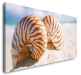 shutterstock_1484491544BQFVNJ4qzwGKR_1280x1280.jpg