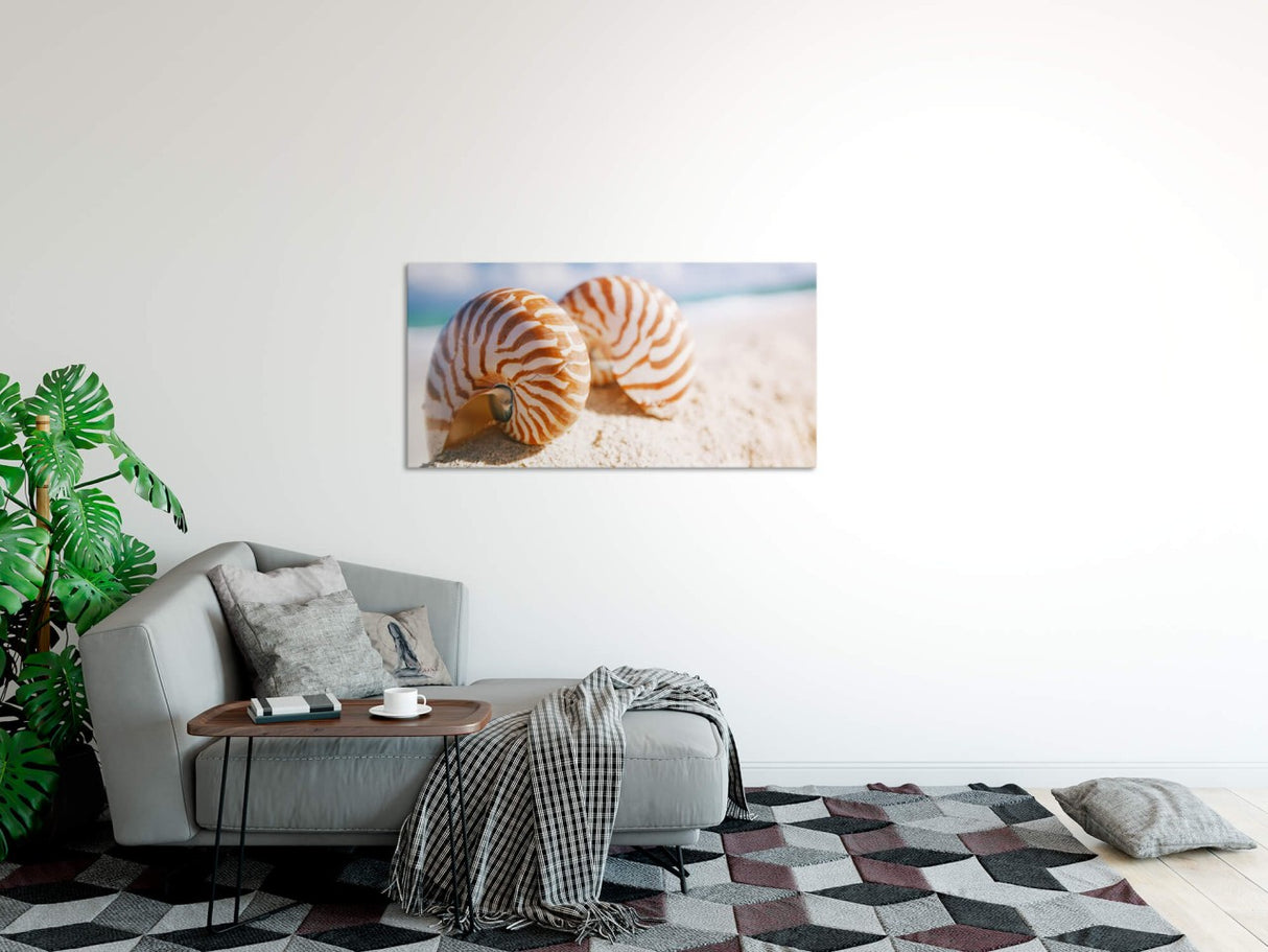 shutterstock_1484491544IqShP5FVJKS5O_1280x1280.jpg