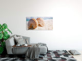 shutterstock_1484491544IqShP5FVJKS5O_1280x1280.jpg