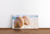 shutterstock_1484491544eSOYLmmUIKU9A_1280x1280.jpg