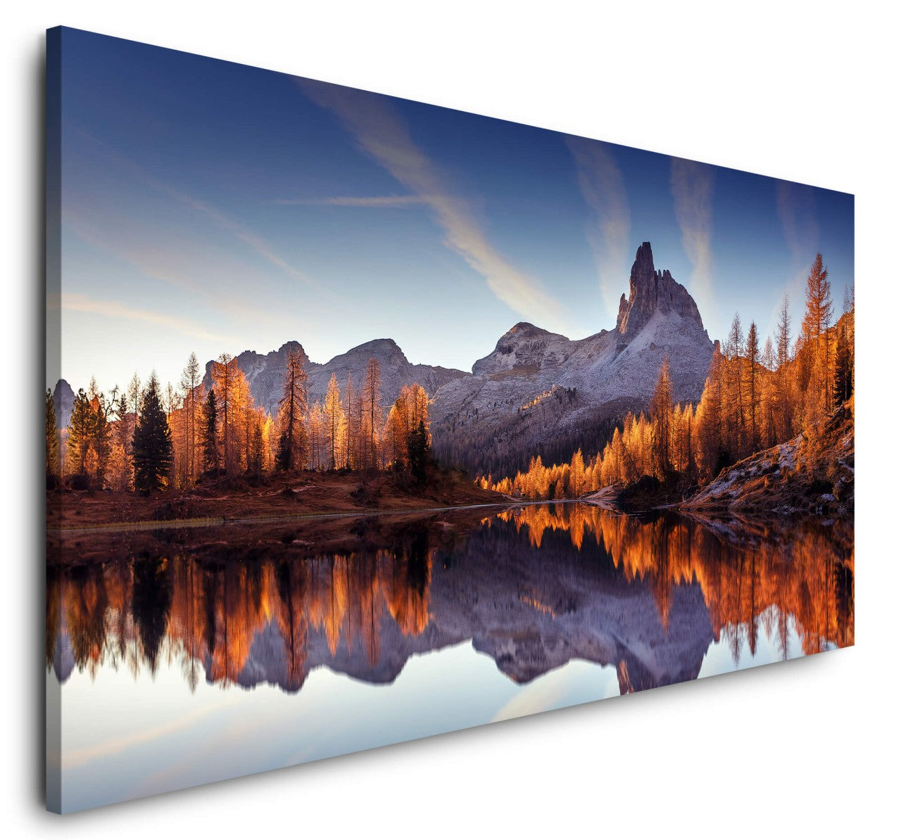 shutterstock_1487897981OL4qSXptG5Uwm_1280x1280.jpg