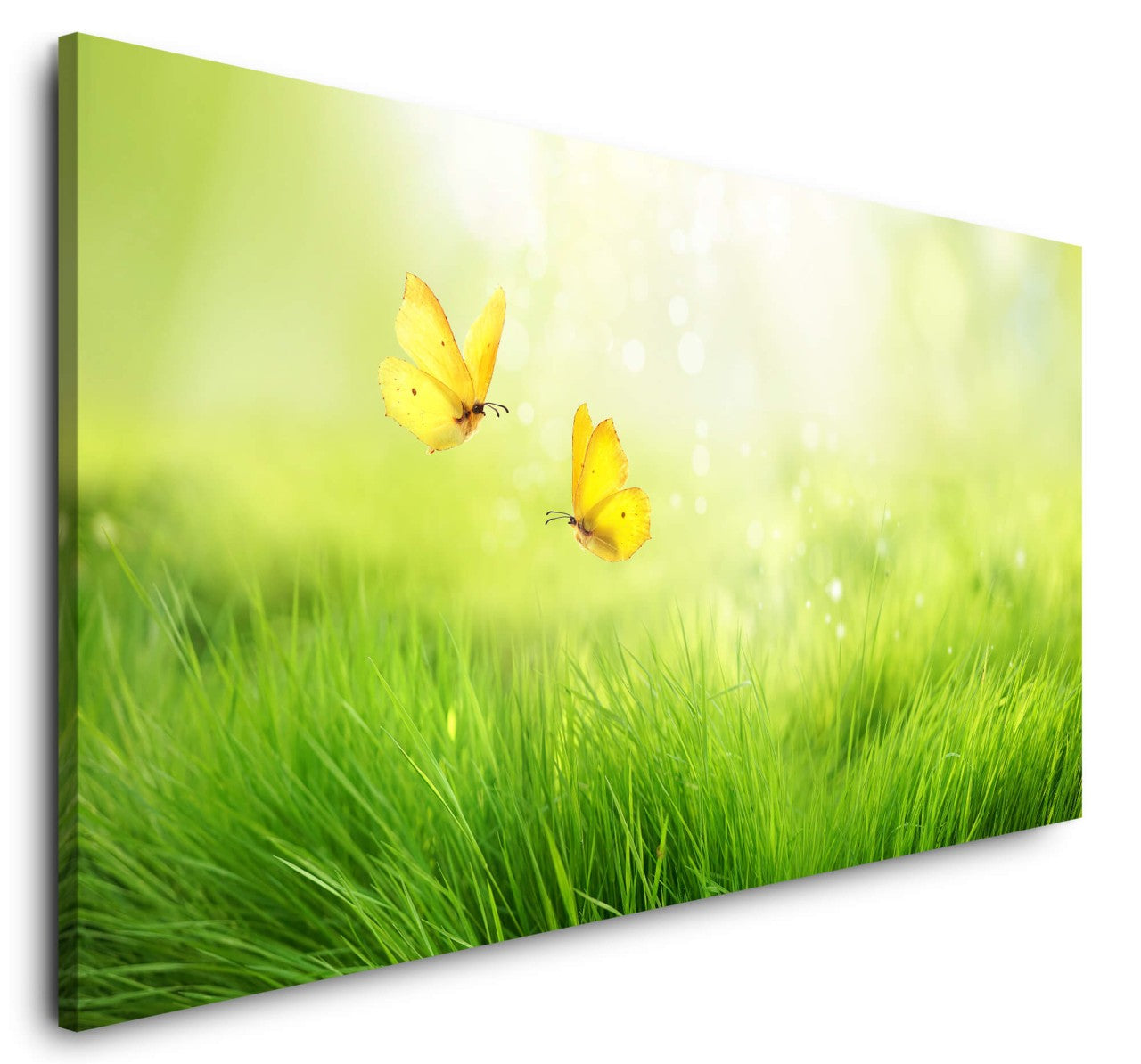 shutterstock_14997064678B5DRtEKstFsp_1280x1280.jpg