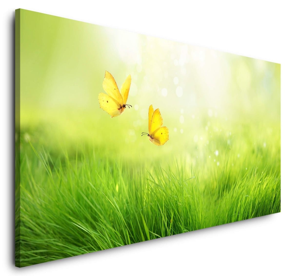 shutterstock_14997064678B5DRtEKstFsp_1280x1280.jpg