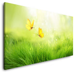 shutterstock_14997064678B5DRtEKstFsp_1280x1280.jpg