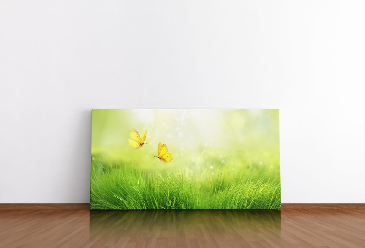 shutterstock_1499706467VmbpxlZGr1U9H_1280x1280.jpg