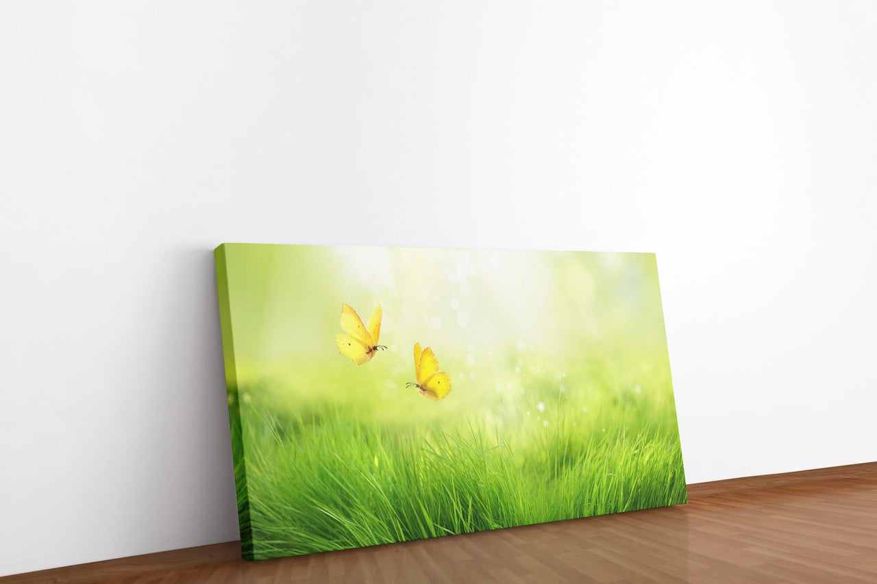shutterstock_1499706467YZchhzmIKbVBU_1280x1280.jpg