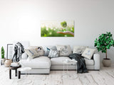 shutterstock_1500154991BJ5Pk6bLqxBrk_1280x1280.jpg