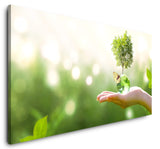 shutterstock_1500154991lpLrY9Fyz8Sj2_1280x1280.jpg