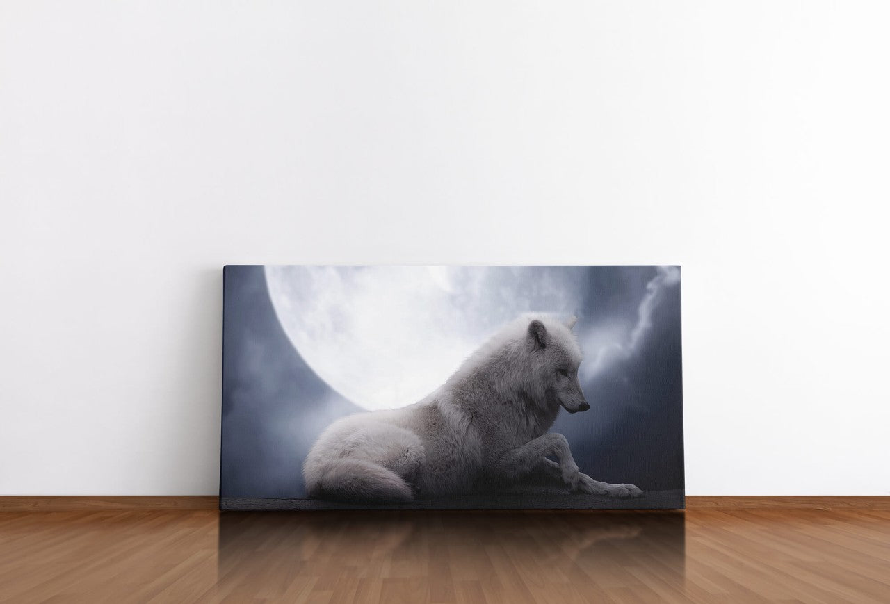 shutterstock_1504717742PJv0hWjrYmI2b_1280x1280.jpg