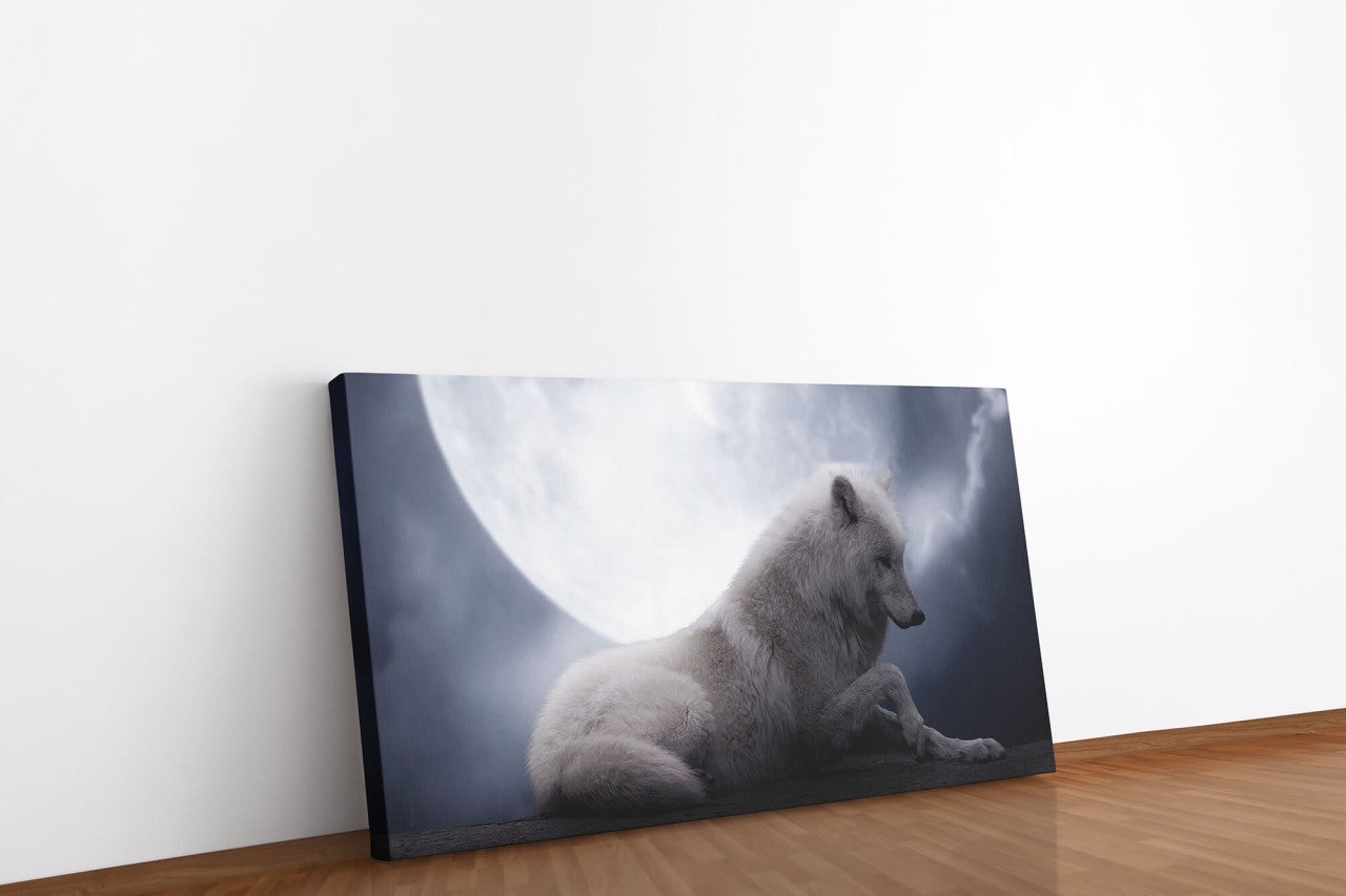 shutterstock_1504717742mpXO6OpN5KhOa_1280x1280.jpg
