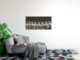 shutterstock_1507940248zijHovjJzmZs_1280x1280.jpg