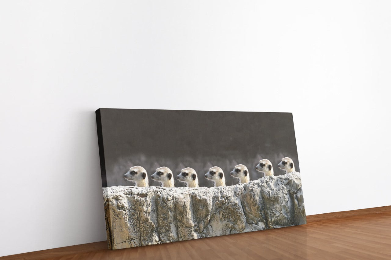 shutterstock_150794024WuCRrmBjrHMe9_1280x1280.jpg