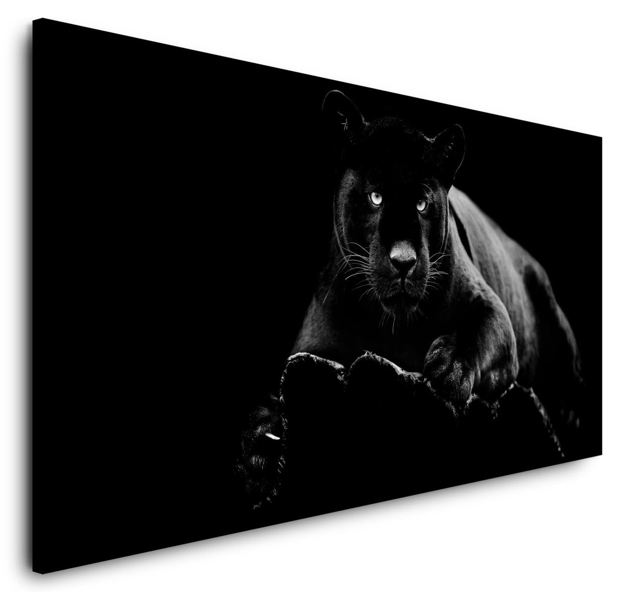 shutterstock_1543673123EaUvhDaQIthnu_1280x1280.jpg