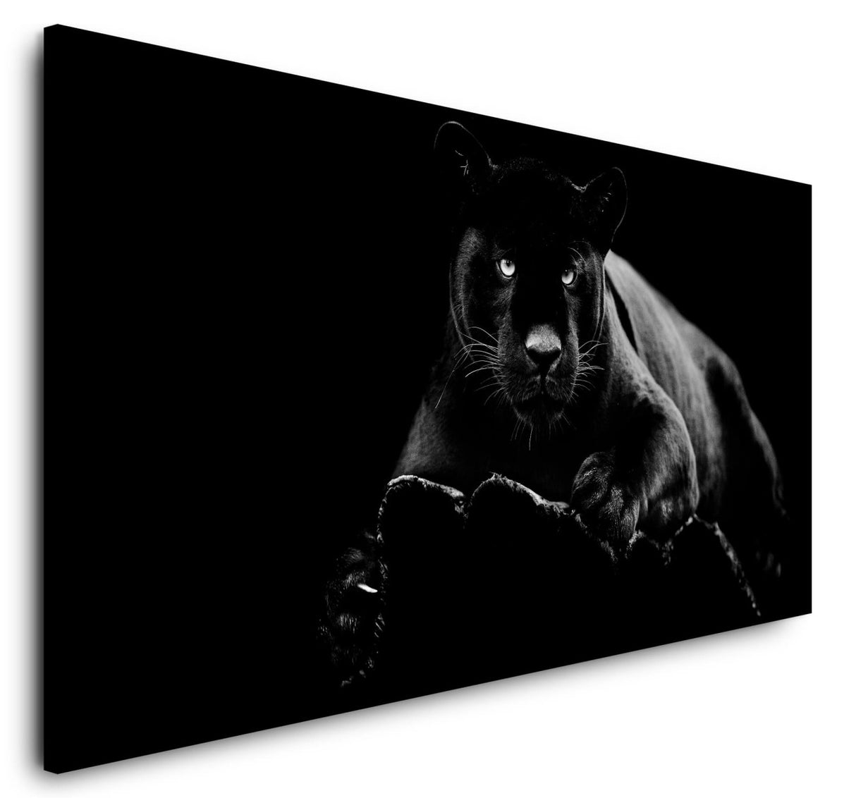 shutterstock_1543673123EaUvhDaQIthnu_1280x1280.jpg