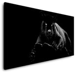 shutterstock_1543673123EaUvhDaQIthnu_1280x1280.jpg