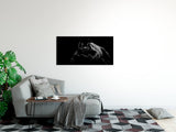 shutterstock_1543673123dlwVOu5Nj66zV_1280x1280.jpg