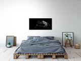 shutterstock_1543673123eOC2cALbQsEhN_1280x1280.jpg