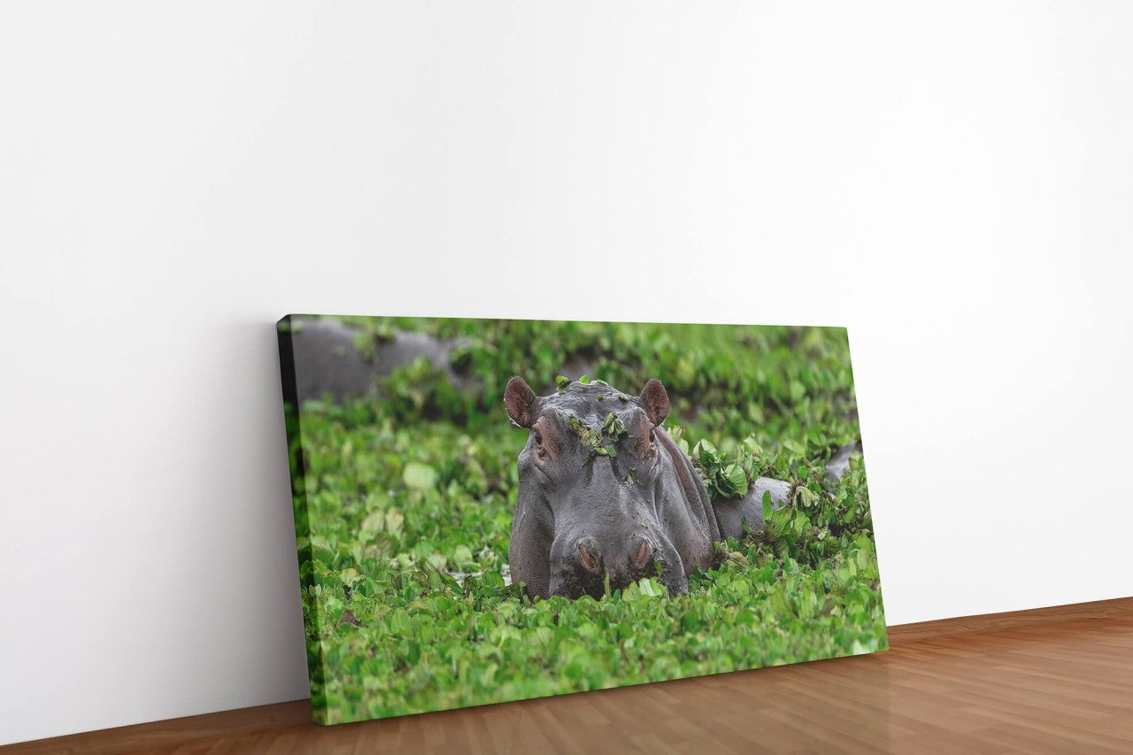 shutterstock_15491182737JQJWwdT7RKOT_1280x1280.jpg