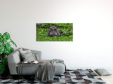 shutterstock_1549118273A33Tnshqf3tHQ_1280x1280.jpg