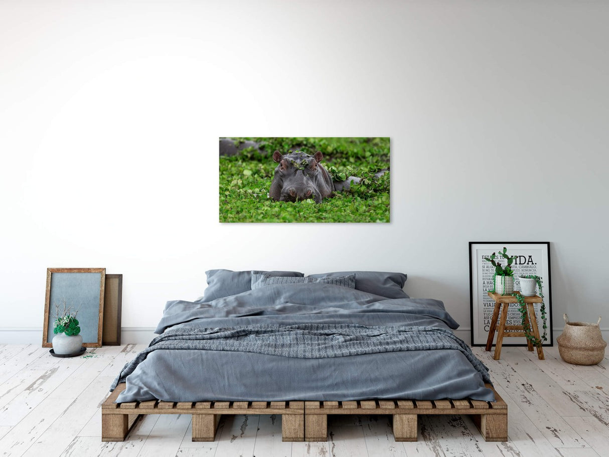 shutterstock_1549118273Y1ma6t2h1V73z_1280x1280.jpg