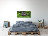 shutterstock_1549118273Y1ma6t2h1V73z_1280x1280.jpg