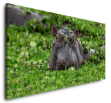 shutterstock_1549118273ZOZlflUiFtG8w_1280x1280.jpg