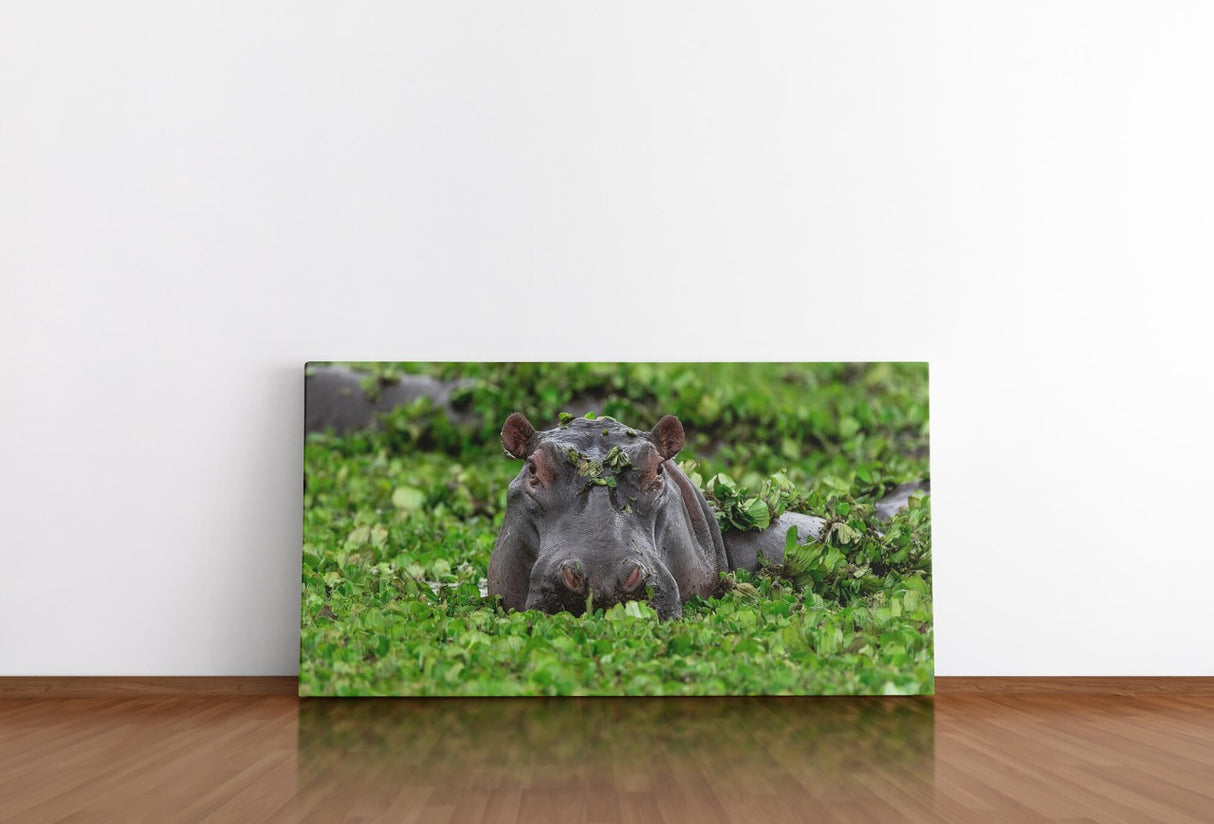 shutterstock_1549118273xU5wH6bYJFRXv_1280x1280.jpg