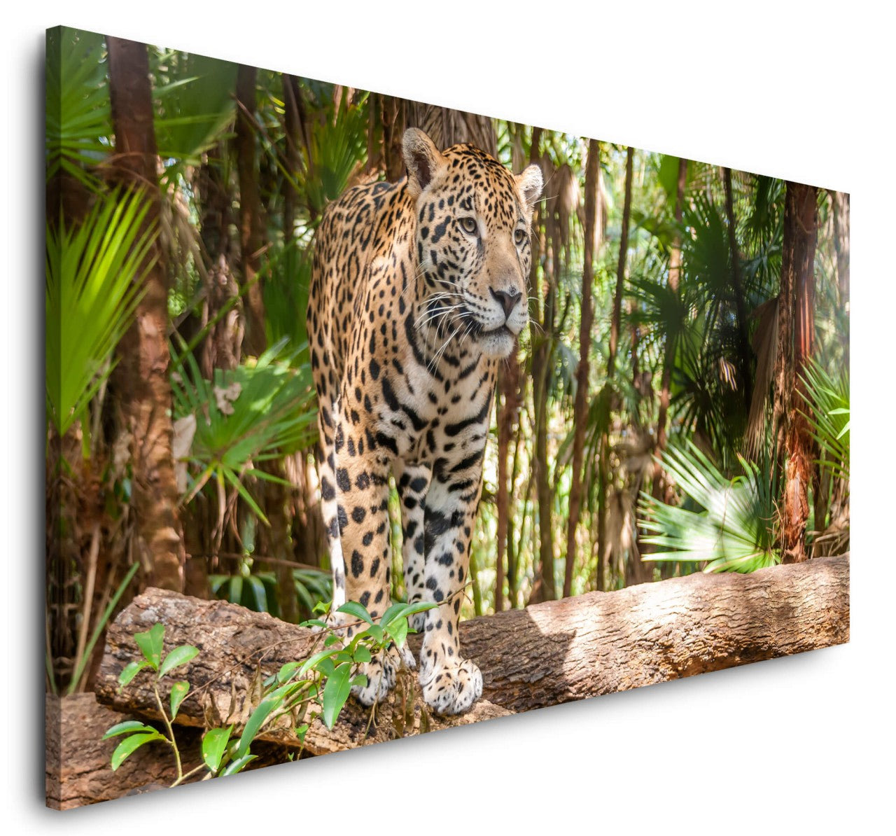 shutterstock_155055527EDzt9ZUTHlYVf_1280x1280.jpg