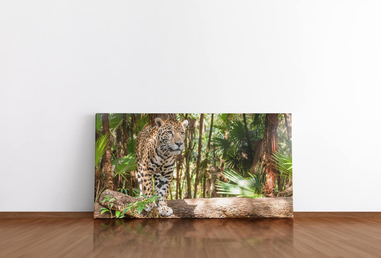 shutterstock_155055527Gx11v9sDT4xe9_1280x1280.jpg