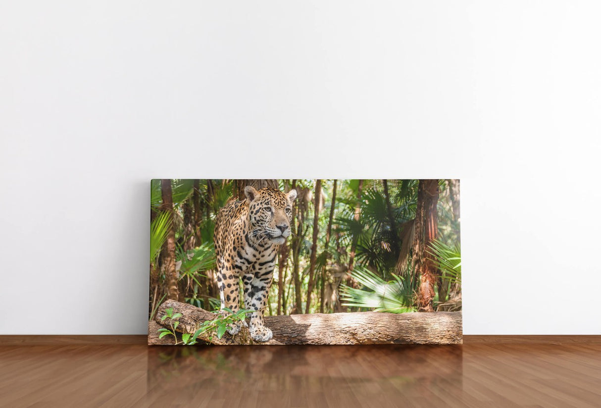 shutterstock_155055527Gx11v9sDT4xe9_1280x1280.jpg
