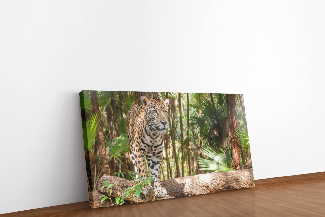 shutterstock_155055527yKrDoCl76tn0x_1280x1280.jpg