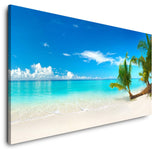 shutterstock_1552900790AqplPY1j4MkWJ_1280x1280.jpg