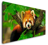 shutterstock_15787677041IeolcoLSsWXQ_1280x1280.jpg