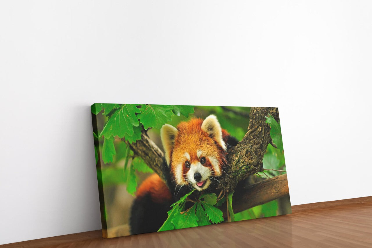 shutterstock_1578767704Msijlvc6OCNJw_1280x1280.jpg