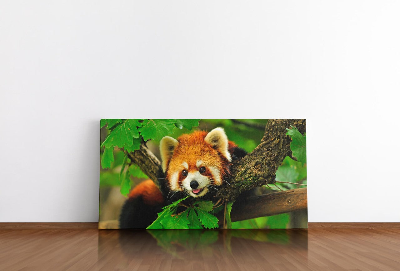 shutterstock_1578767704PDUjMTMm24y5m_1280x1280.jpg