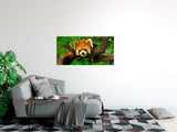 shutterstock_1578767704b0NAJZBjBy0Tj_1280x1280.jpg