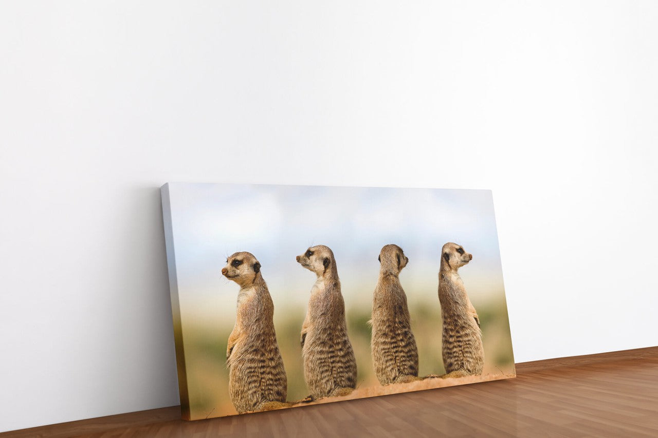 shutterstock_16130961945LkajP1rsmnQ0_1280x1280.jpg