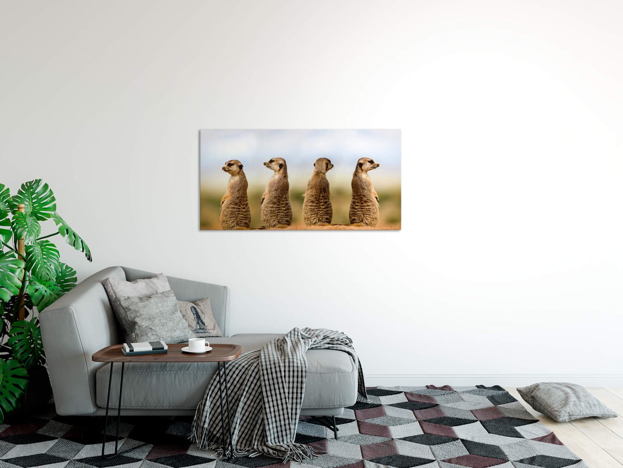 shutterstock_1613096194MKyfDroIT4IPb_1280x1280.jpg