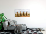 shutterstock_1613096194MKyfDroIT4IPb_1280x1280.jpg