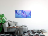 shutterstock_1621784218EYe8QRi0Obnrh_1280x1280.jpg
