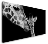 shutterstock_1632257368DOAVKCO2lqfS5_1280x1280.jpg