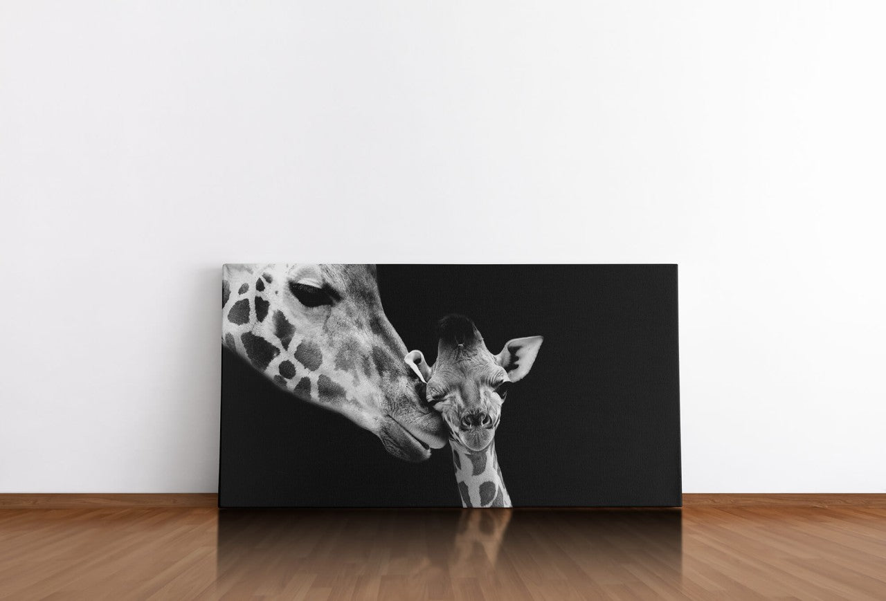 shutterstock_1632257368WzdAnN3s2fuWD_1280x1280.jpg