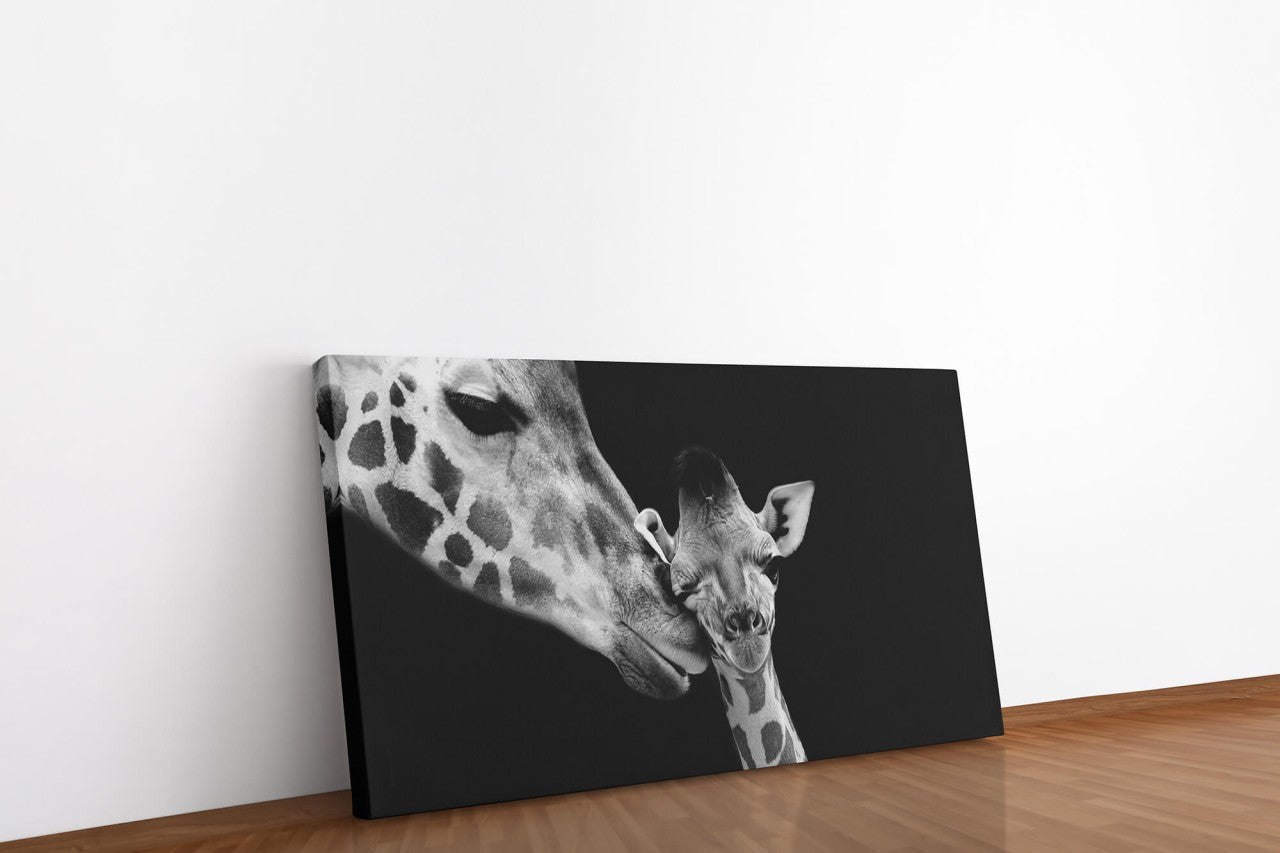 shutterstock_1632257368eVORTOZAKXRXF_1280x1280.jpg