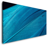 shutterstock_1633146136UgPOVuVtf3pHj_1280x1280.jpg