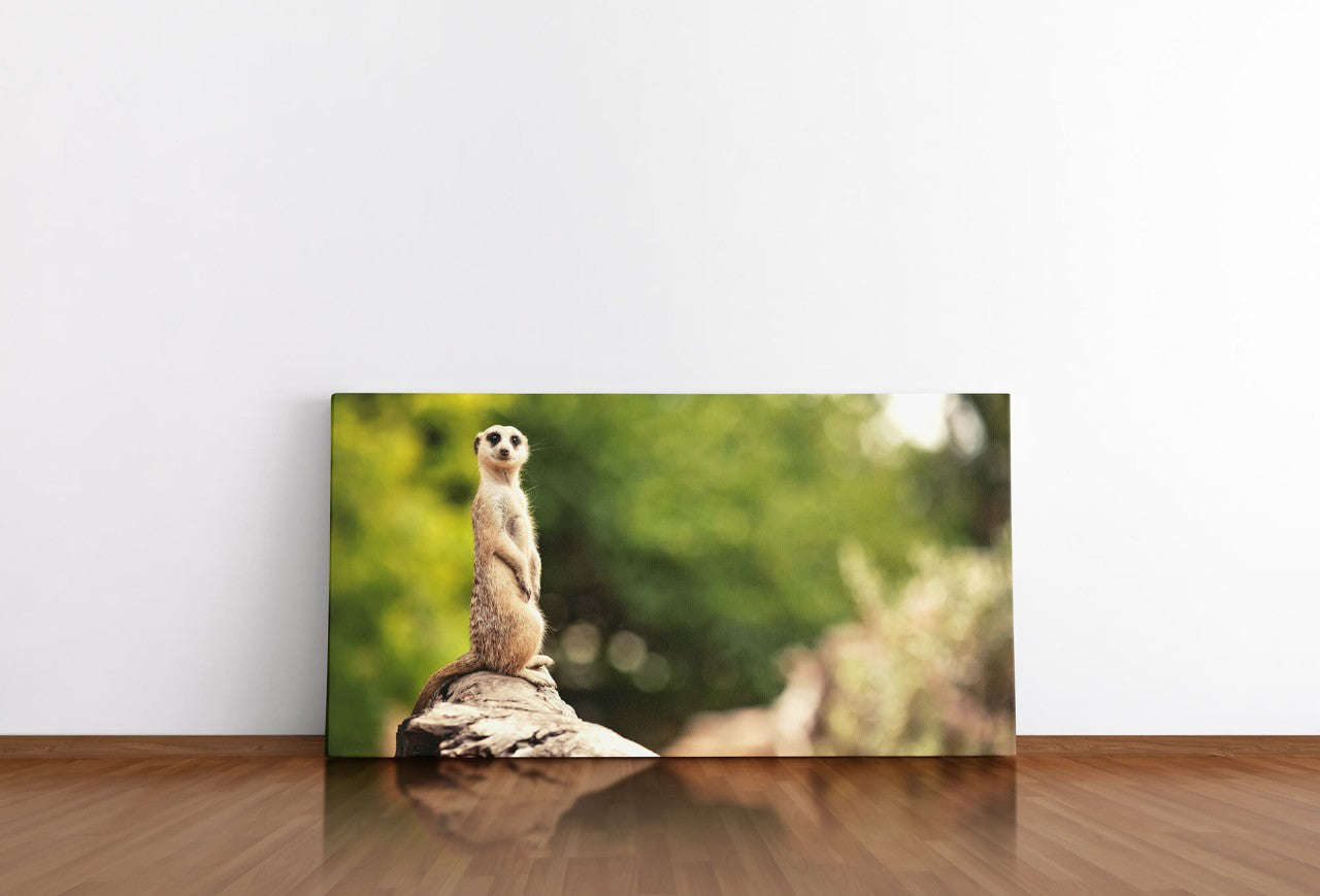 shutterstock_164022368R76eCYKP4K4WD_1280x1280.jpg