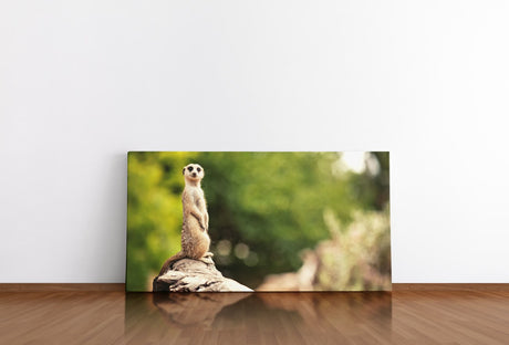 shutterstock_164022368R76eCYKP4K4WD_1280x1280.jpg