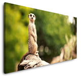 shutterstock_164022368tJLOPGU6Pj4NS_1280x1280.jpg