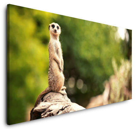 shutterstock_164022368tJLOPGU6Pj4NS_1280x1280.jpg
